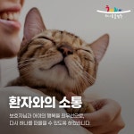 하나동물병원