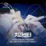 24시 예담동물의료센터