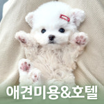 행복만개 애견미용 애견호텔 인천본점