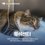 24시 성심 동물 메디컬 센터