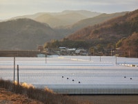 유천교회