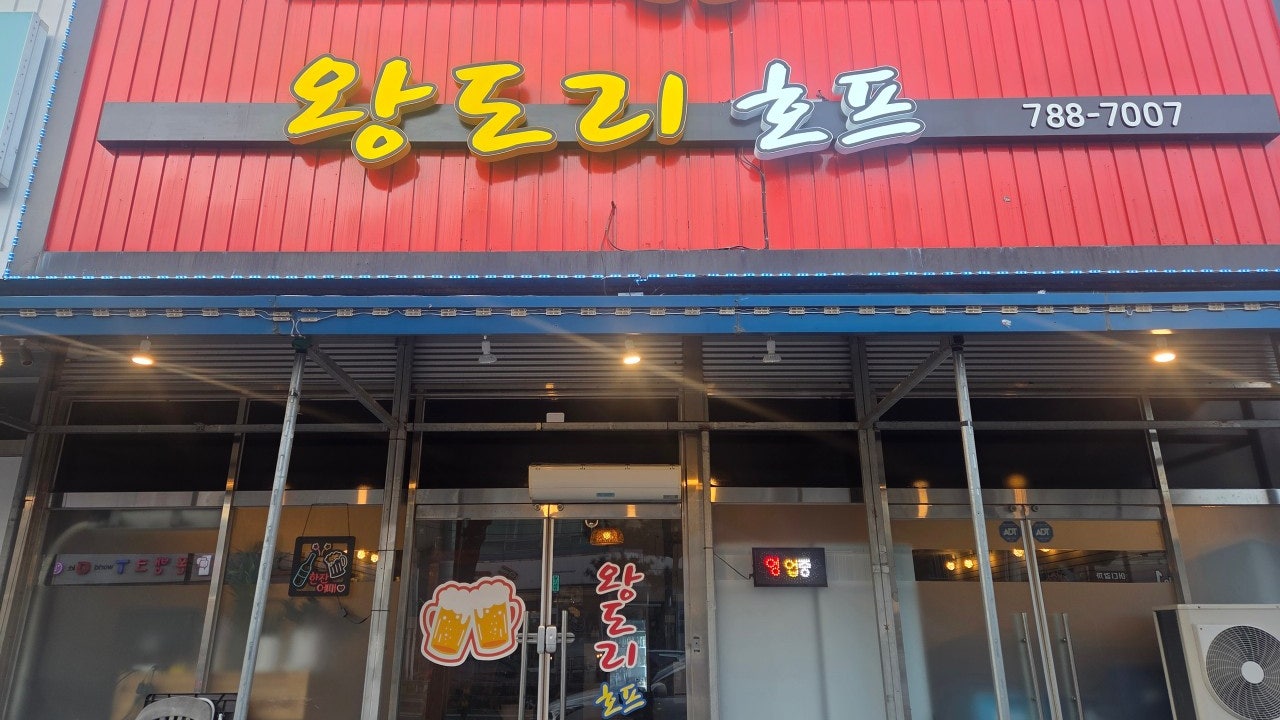 왕도리