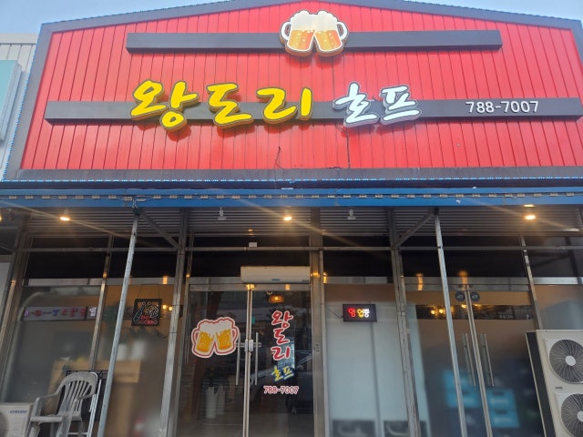 왕도리