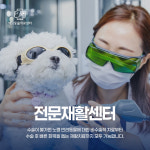 24시 예담동물의료센터