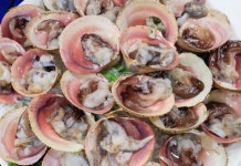 완도수산야채막회 전주대점