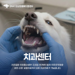 24시 성심 동물 메디컬 센터