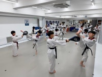 용인대금메달태권도