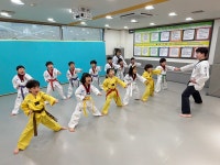 용인대금메달태권도