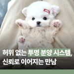 행복만개 강아지분양 고양이분양 인천본점