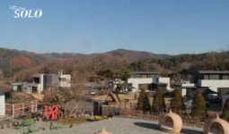 라비드포레
