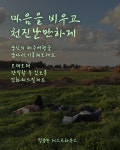 제주도 적당한게스트하우스