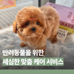 행복만개 강아지분양 고양이분양 인천본점