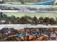 회랑생선구이랑