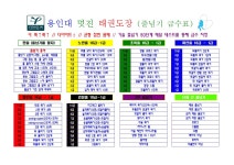 용인대멋진태권도