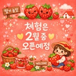 채원팜 딸기농원