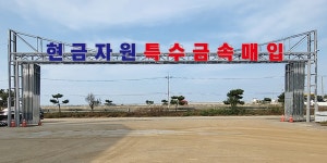 현금자원