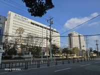 수 행정사사무소