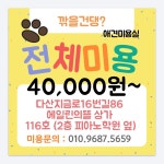 다산애견미용실 깎을건댕