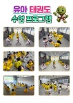 구지태권도
