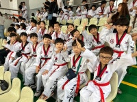 경희대미션태권도장