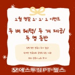 에스투짐