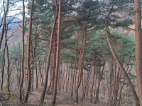 한옥민박