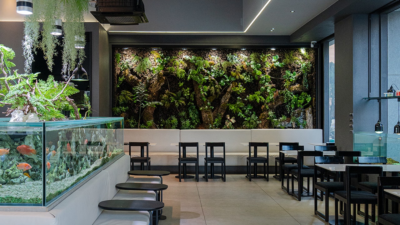 슬로우커피