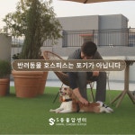 에스동물암센터