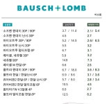 렌즈베리 현명안경