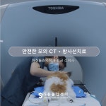 에스동물암센터