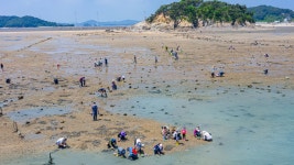선재어촌체험휴양마을