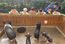 흥덕제일어린이집