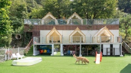 제이몽 애견 펜션