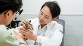 링크 동물의료센터