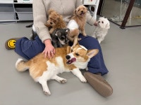 24시멍글몽글유치원&호텔링