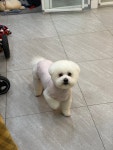 시오리펫살롱