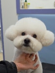 오순독순