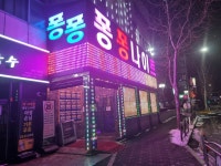 퐁퐁나이트