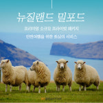 (주)다드림여행사 | 두드림여행사