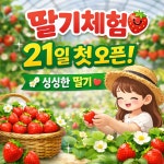 채원팜 딸기농원
