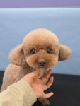 오순독순