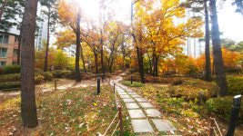 동편사랑공인중개사사무소