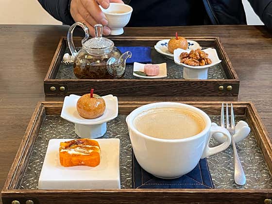 늘새솔 사진