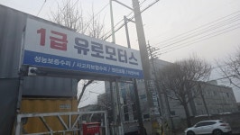 1급 유로모터스