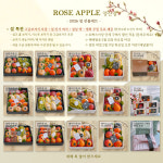 로즈애플 양산점