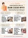 아인스동물병원