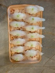 참한상 다찌