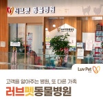 러브펫동물병원 영등포타임스퀘어점