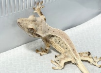 예쁜동물나라수족관 대전점