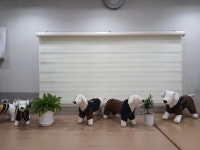 올리브의 미싱공방